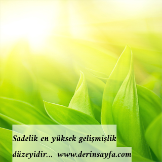 Sadelik en yüksek gelişmişlik düzeyidir…