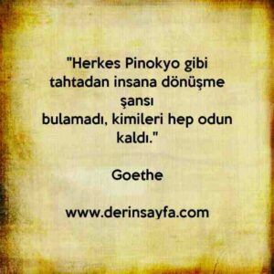 "Herkes Pinokyo gibi tahtadan insana dönüşme şansı
bulamadı, kimileri hep odun kaldı."
– Goethe