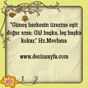 "Güneş herkesin üzerine eşit doğar ama; Gül başka, leş başka kokar.'' Hz.Mevlana