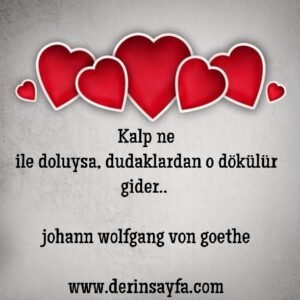 Kalp ne ile doluysa, dudaklardan o dökülür gider.. 
von goethe