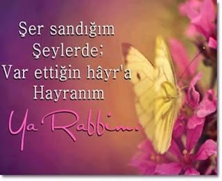 Şer sandığım Şeylerde; Var Ettiğin Hayr’a Hayranım Ya Rabbi..